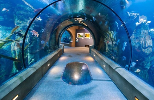 Newport House | Best Value, Quality Stay! Free Parking, Indoor Pool, Pets Allowed!