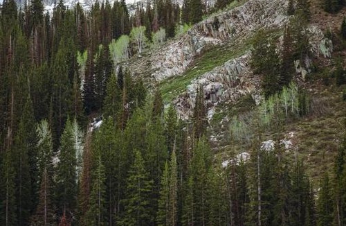 Salt Lake Mountain Resorts Ski Chalet | Big Cottonwood 2 Bedroom Brighton Chalet