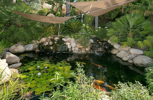 Rancho Penasquitos House | Breathtakingly beautiful and kid friendly San Diego mansion!
