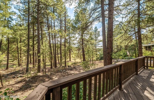 Munds Park Cabin | CABIN on EDGE of FOREST, KAYAK on LAKE