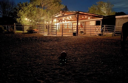 Petaluma House | Camp Chapman-Pool/Spa/Bocce/firepit/OD kitchen/Chickens-fresh eggs, and Horses.