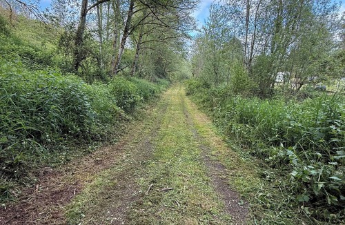 Clatskanie Cabin | Campsite with cabin located in quiet Claskanie Oregon! Endless hiking trails!