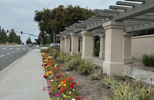 Aviara Apartment | CARLSBAD CALIFORNIA STUDIO AVIARA COMMUNITY