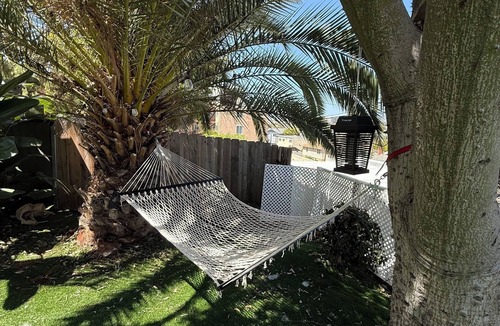 Bridgeview Apartment | CasaViva Nest · Cute Studio w/Patio, Firepit — Walk to Eats, Near Zoo, SeaWorld
