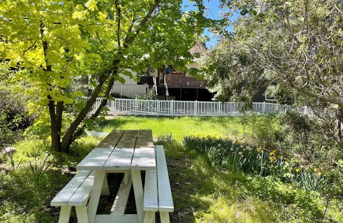 Idyllwild Cabin | Charming 3-bedroom cabin with AC, WiFi in serene Idyllwild-Pine Cove