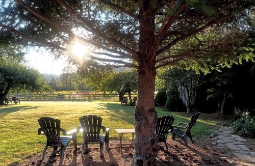 Roseburg Cottage | Charming cottage studio in serene environment perfect for a relaxing getaway