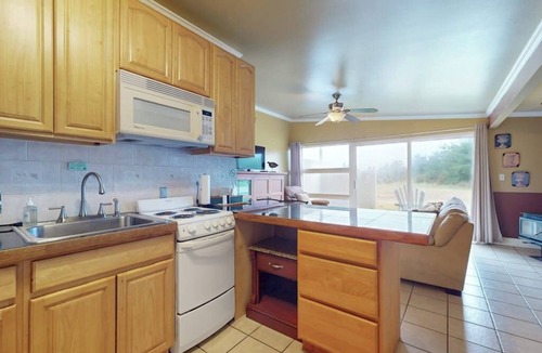 Copalis Beach Condo | Coastal oceanfront condo with shared hot tub & beach trail access, dog friendly