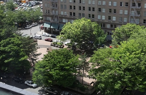 Downtown Portland Hotel | Comfort and Convenience! 3 Great Units, Pets Allowed