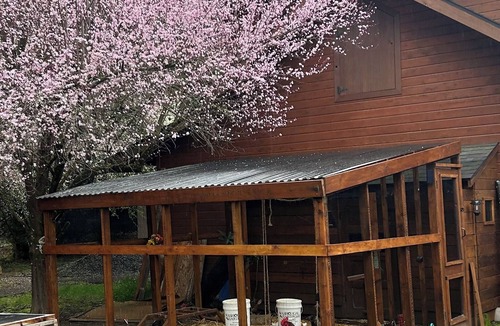 Washougal House | Comfortable upstairs room in Washougal with WiFi and AC