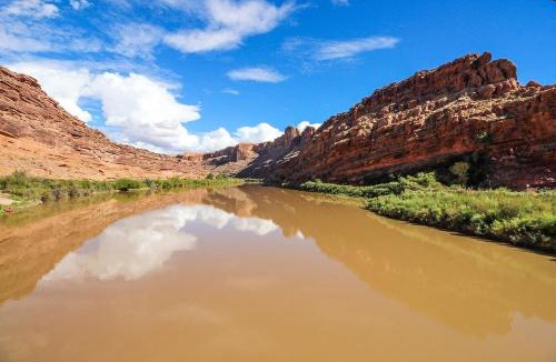 Moab House | Cottonwoods 405