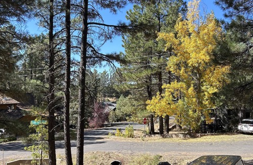 Munds Park Ski Chalet | Cozy 4-bedroom chalet in amazing Munds Park with WiFi