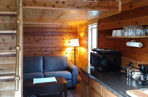 Beaver Cabin | Cozy Creekside Tiny Home outside Forks, WA; Right in Olympic National Forest!