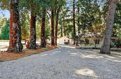 Cobb Cabin | Cozy Dog Friendly Cabin in Cobb California Near Harbin Hot Springs