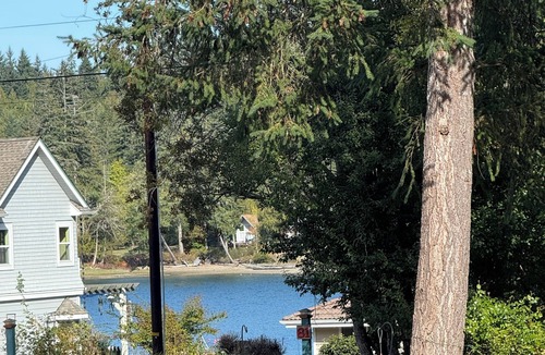 Shelton Apartment | Cozy Guest House for Nurses this fall who travel