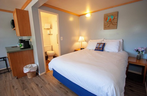 Westport Hotel | Cute, pet friendly motel. 1 mile to the beach and lighthouse.