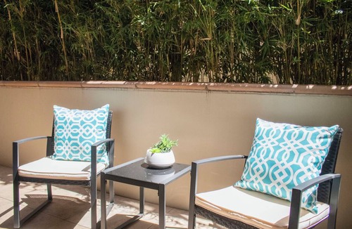Walnut Creek Apartment | Dog-Friendly, Walk to Dining in Walnut Creek