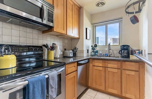 Downtown Seattle Condo | Electic Downtown 1B Condo by Convention Center