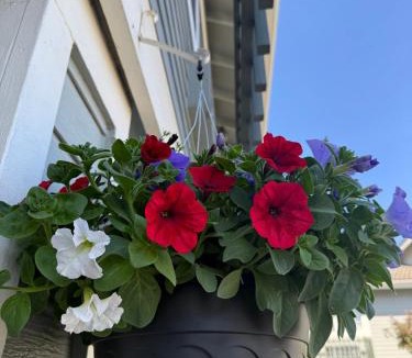 Anacortes Hotel | Fidalgo Country Inn