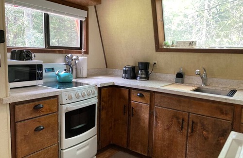 Susanville Cabin | Forest A-Frame Cabin | Gold Run Creek Frontage | High-Speed WiFi | 10 Wooded Acres