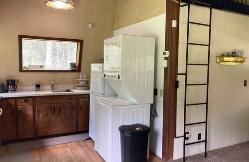 Susanville Cabin | Forest A-Frame Cabin | Gold Run Creek Frontage | High-Speed WiFi | 10 Wooded Acres
