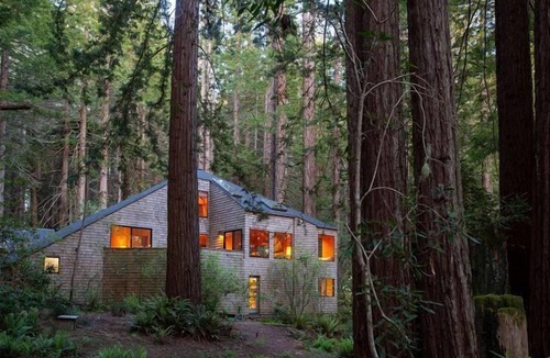 Sea Ranch House | Forest House: 2 BR, 3 BA House in The Sea Ranch, Sleeps 4