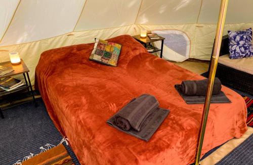 Garberville Other | Glamping in the Redwoods with a hot tub!
