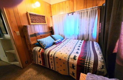 Peter Pan House | Green Cabin in Big Bear Lake 3 bdr Pets Friendly