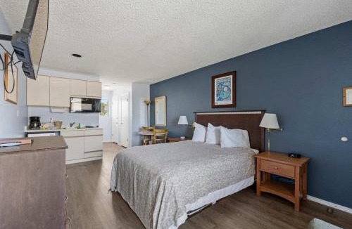 Ocean Shores House | Ground Floor Studio - Pet-Friendly with Kitchenette - Pool and Hot Tub