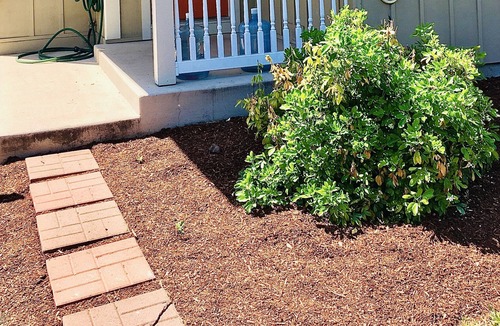 Amazon Apartment | Guests will enjoy easy access to everything from this centrally located place!