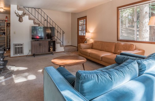 Dorrington Ski Chalet | Hangtree Hangout Pet Friendly w/ Lake & Rec Center Access!