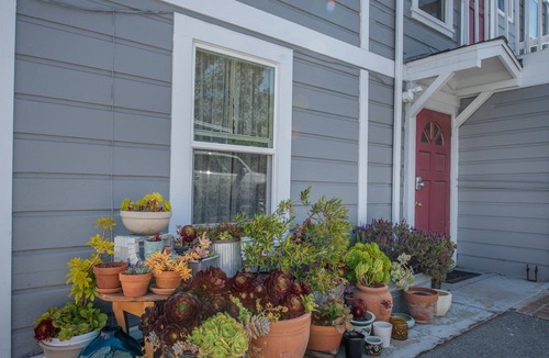 Monterey House | "Hidden Treasure" in Monterey