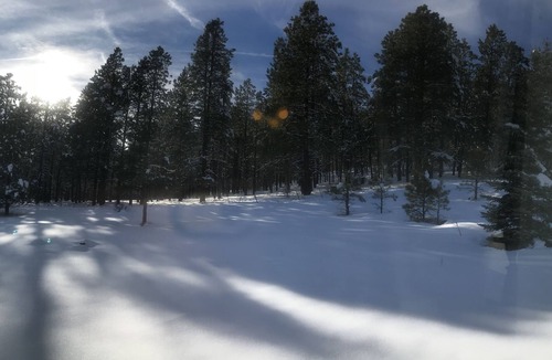 Flagstaff House | Hillside Cottage: Restful, quiet setting Coconino County Permit # STR-26-0572