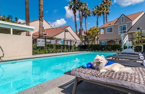 Downtown Village House | Home Away from Home! TWO 2BR Suites w/ Kitchens! Pool, Jacuzzi, Private Parking!