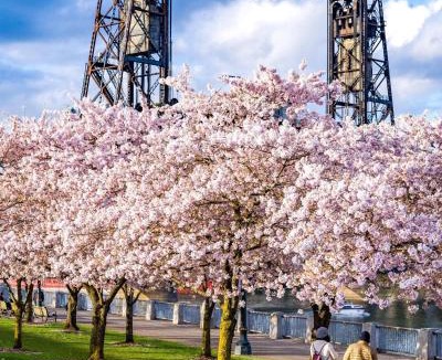 Parkrose Hotel | Hyatt House Portland Airport