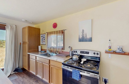 Thurston Apartment | Inviting dog-friendly studio with gas grill, Wi-Fi and washer&dryer