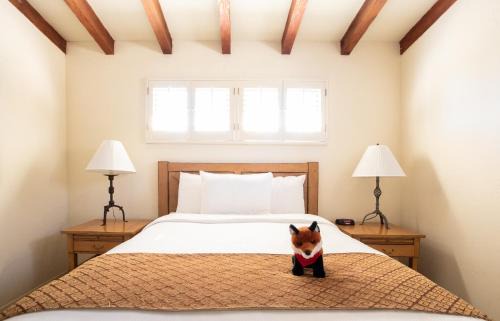 Borrego Springs Hotel | La Casa Del Zorro Resort & Spa