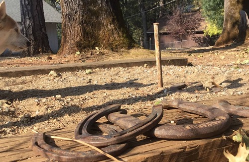 Lakehead-Lakeshore House | LAKE FRONT ON SHASTA LAKE, NESTLED IN THE MOUNTAINS!