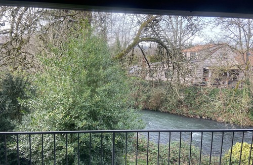 Central Area Apartment | LARGE Upstairs 2 Bed 2 Bath condo Creek View!