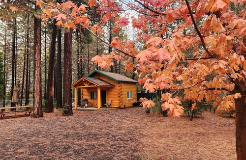 Forest Ranch Cottage | Lavender Log Home Cottage