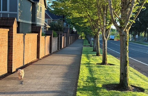 Aloha House | LGBT+ friendly queen suite near Nike with office space, mini fridge,microwave.