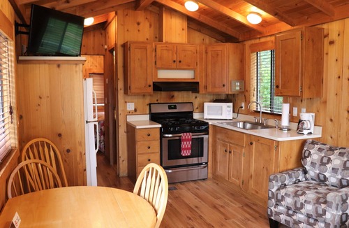 Cougar Other | Lone Fir Resort