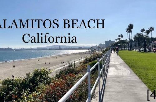 Alamitos Beach Apartment | Long Beach 2BR and 1BA Charming Condo Near Alamitos Beach, Marina, Cafes & Shops
