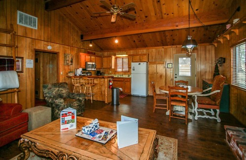 Whispering Forest House | Lookout Mountain - FREE Bike/Kayak Rental! 2BR/1BA/WiFi/Roku/Netflix/Forest Views