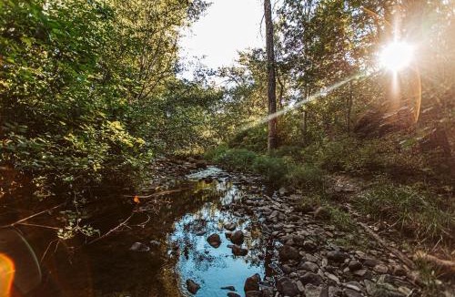 The Dalles Other | Luxury Duck Pond Glamping Hot Tub, Alpacas, Stars