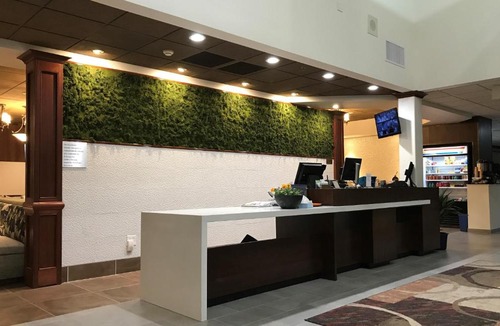 Arlington Hotel | Medallion Inn and Suites