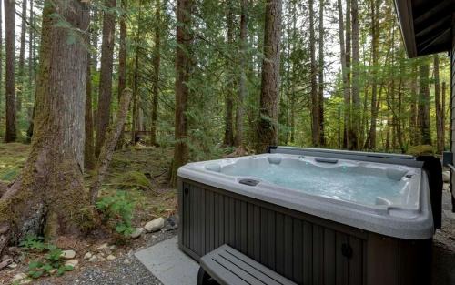 Warnick House | Mount Baker Cabin Retreat | Fireplace, Hot Tub & Views