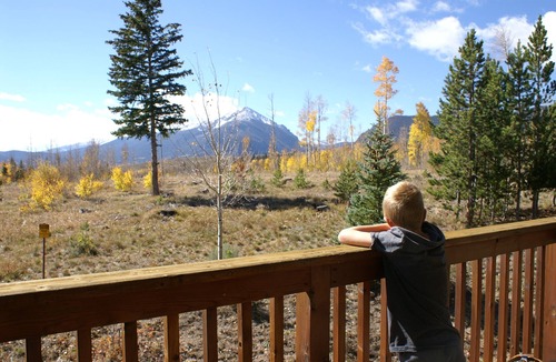 Wildernest House | Mountain Getaway backing to National Forest open space!