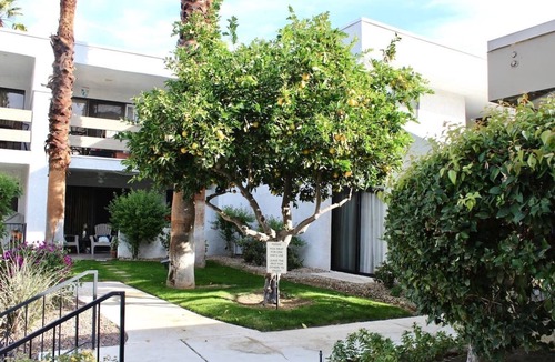 Palm Springs Condo | NEW LISTING Poolside Desert Condo Perfect for Long Term Stays