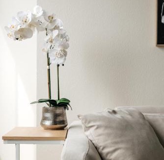 Downtown Apartment | Ocean View Pacific Breeze