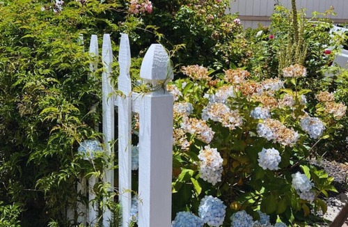 Piedmont Avenue House | Peaceful Garden Craftsman